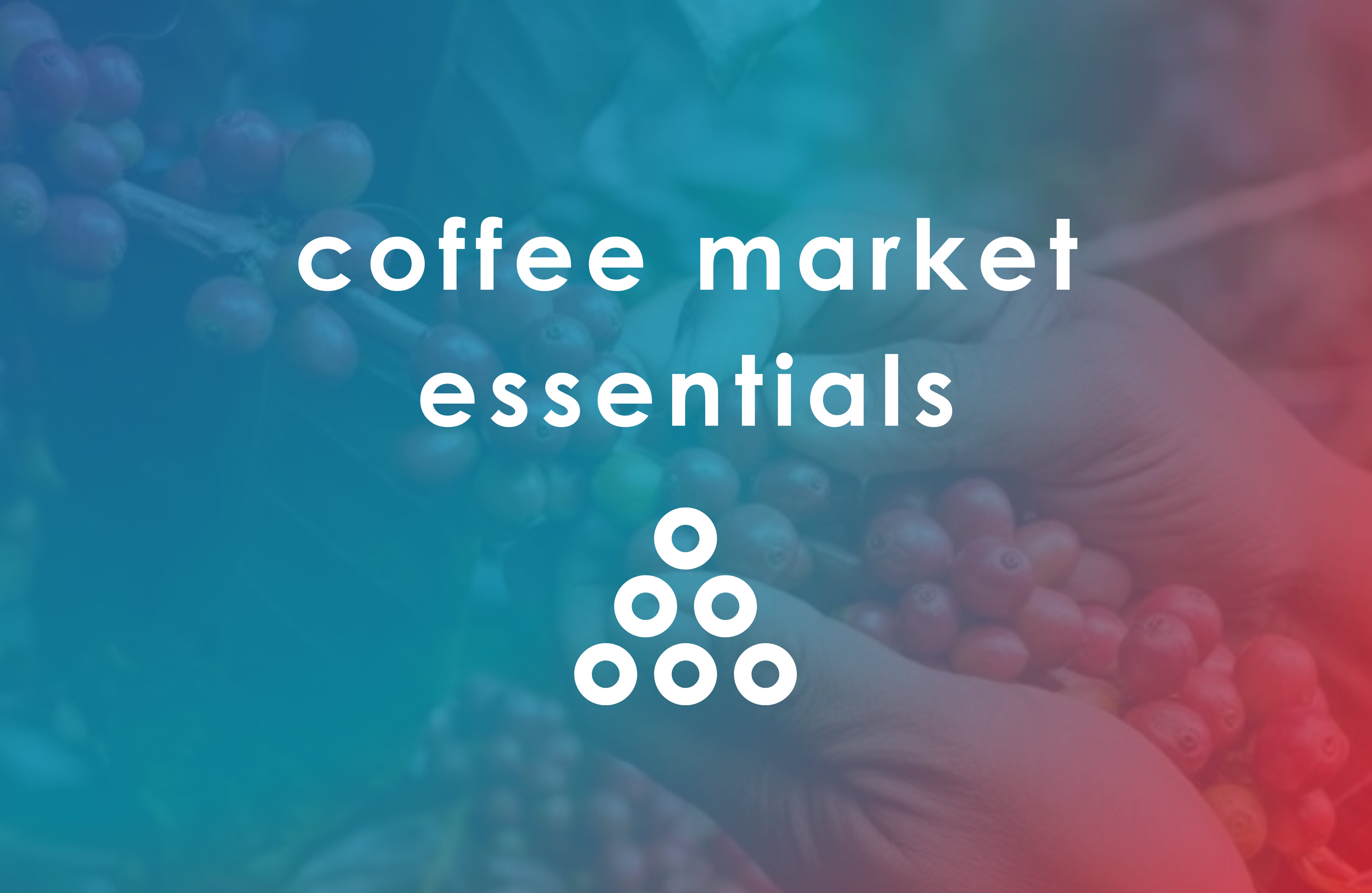 Coffee Market Essentials